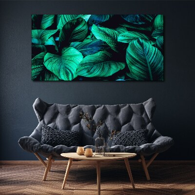 Foto op canvas Groene tropische bladeren