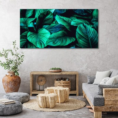 Foto op canvas Groene tropische bladeren