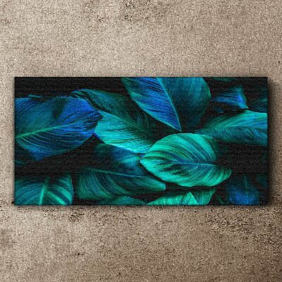 Canvas schilderij Groene bladeren in diepe schaduw