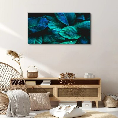 Canvas schilderij Groene bladeren in diepe schaduw