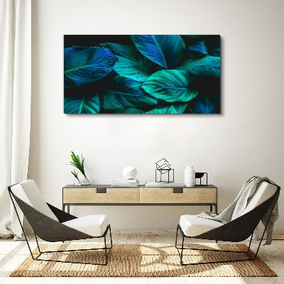 Canvas schilderij Groene bladeren in diepe schaduw