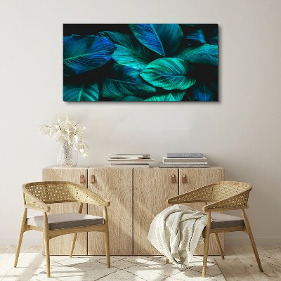 Canvas schilderij Groene bladeren in diepe schaduw