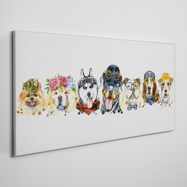 Foto op canvas Honden in modieuze accessoires