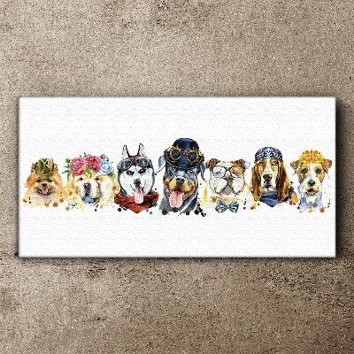 Foto op canvas Honden in modieuze accessoires
