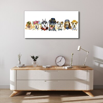 Foto op canvas Honden in modieuze accessoires