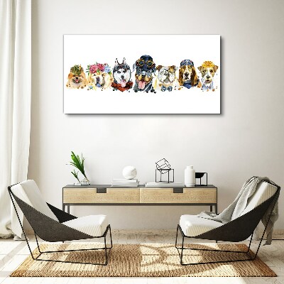 Foto op canvas Honden in modieuze accessoires