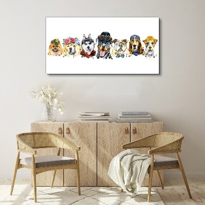 Foto op canvas Honden in modieuze accessoires