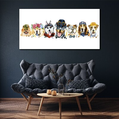 Foto op canvas Honden in modieuze accessoires