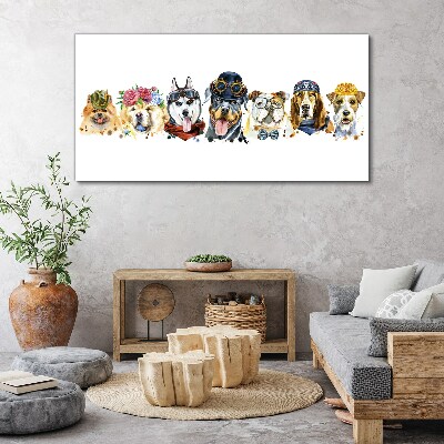 Foto op canvas Honden in modieuze accessoires
