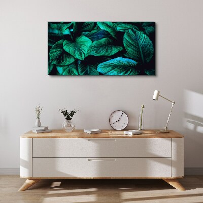 Foto op canvas Groene tropische bladeren