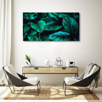 Foto op canvas Groene tropische bladeren