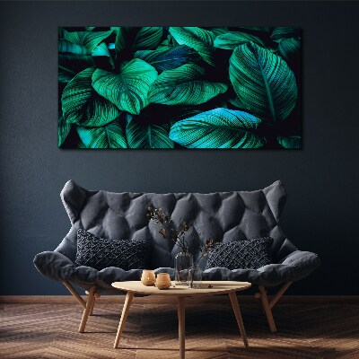 Foto op canvas Groene tropische bladeren