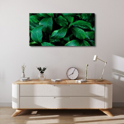 Foto op canvas Groene symfonie van bladeren