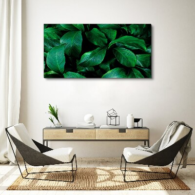 Foto op canvas Groene symfonie van bladeren