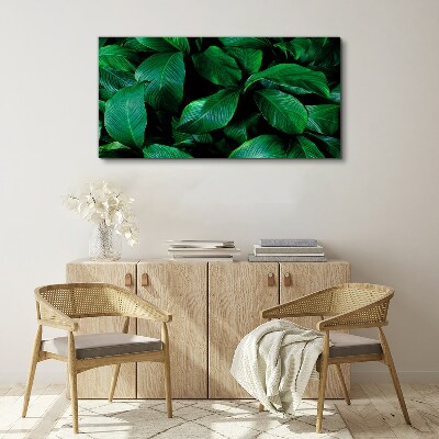 Foto op canvas Groene symfonie van bladeren