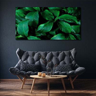 Foto op canvas Groene symfonie van bladeren