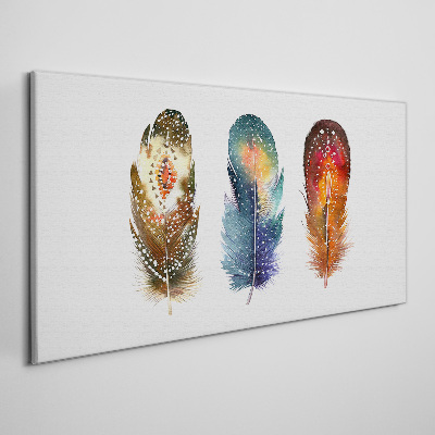 Canvas schilderij Kleurrijke veren