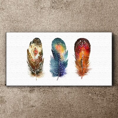 Canvas schilderij Kleurrijke veren