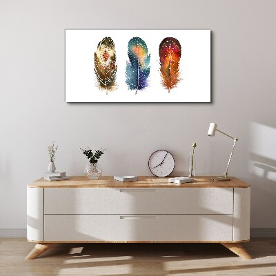 Canvas schilderij Kleurrijke veren