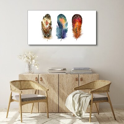 Canvas schilderij Kleurrijke veren