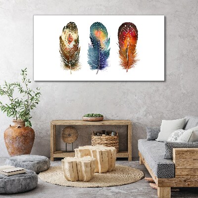 Canvas schilderij Kleurrijke veren