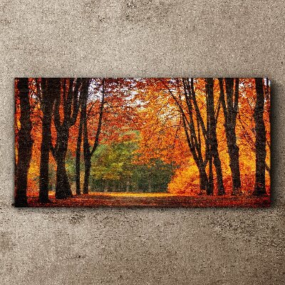 Schilderij op doek Herfstlaan met bomen