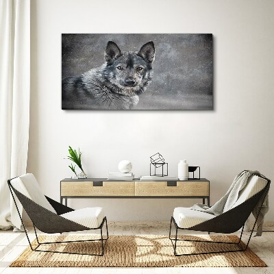 Foto op canvas Portret van een grijze hond