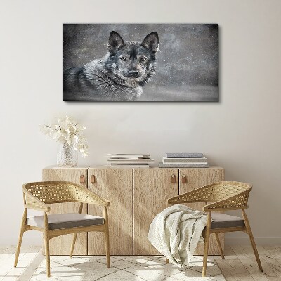 Foto op canvas Portret van een grijze hond