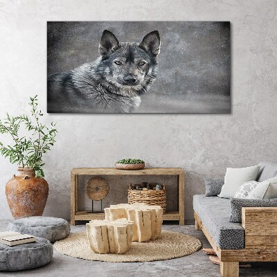 Foto op canvas Portret van een grijze hond