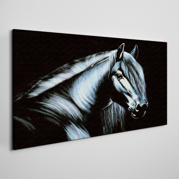 Schilderij op doek Een donker paard in het schijnsel van het licht