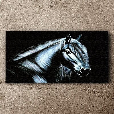 Schilderij op doek Een donker paard in het schijnsel van het licht