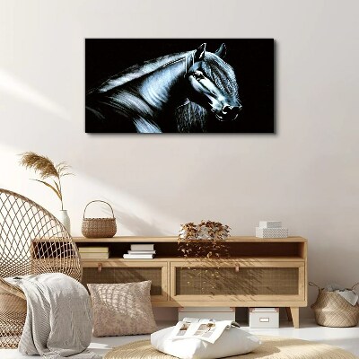 Schilderij op doek Een donker paard in het schijnsel van het licht