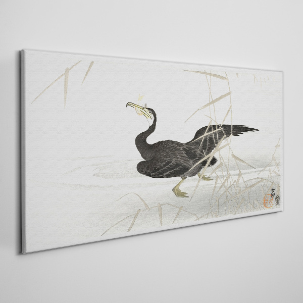 Canvas schilderij Zwarte aalscholver tussen het riet