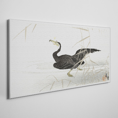 Canvas schilderij Zwarte aalscholver tussen het riet