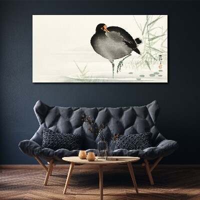 Foto op canvas Een vogel op het gras