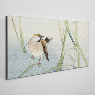 Foto op canvas Een mees tegen het gras