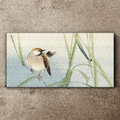 Foto op canvas Een mees tegen het gras