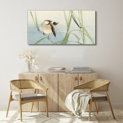 Foto op canvas Een mees tegen het gras