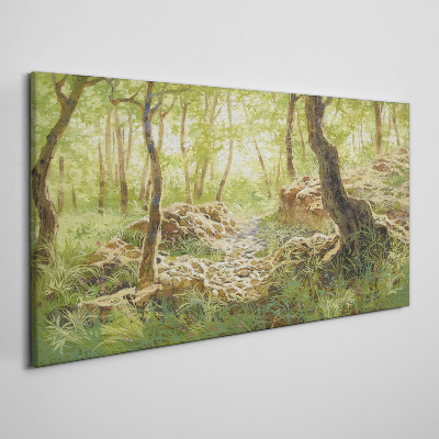 Foto op canvas Groen boslandschap met stenen