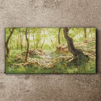 Foto op canvas Groen boslandschap met stenen