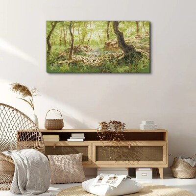 Foto op canvas Groen boslandschap met stenen