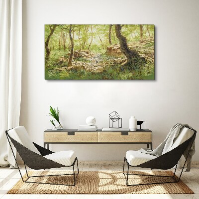 Foto op canvas Groen boslandschap met stenen