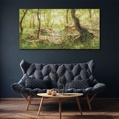 Foto op canvas Groen boslandschap met stenen