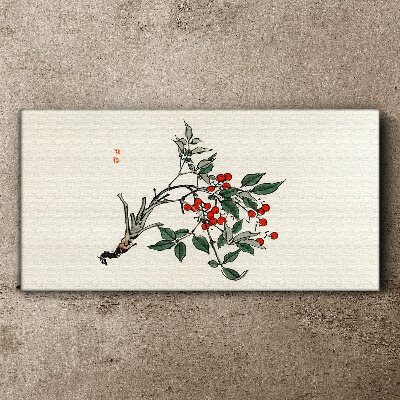 Foto op canvas Rode vrucht op een tak