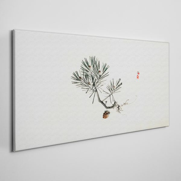 Foto op canvas Dennenboom op een witte achtergrond