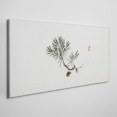 Foto op canvas Dennenboom op een witte achtergrond