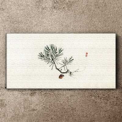 Foto op canvas Dennenboom op een witte achtergrond