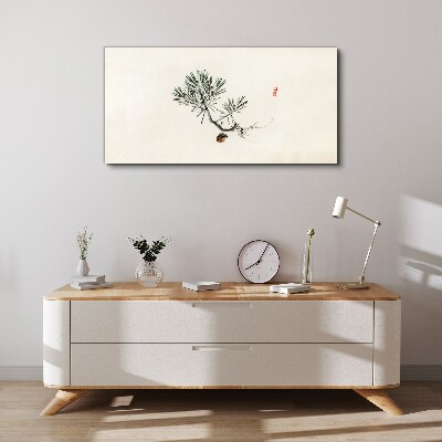 Foto op canvas Dennenboom op een witte achtergrond