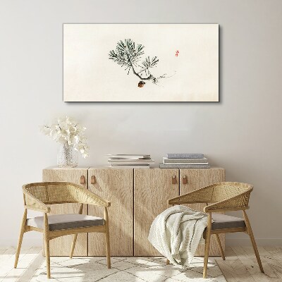 Foto op canvas Dennenboom op een witte achtergrond