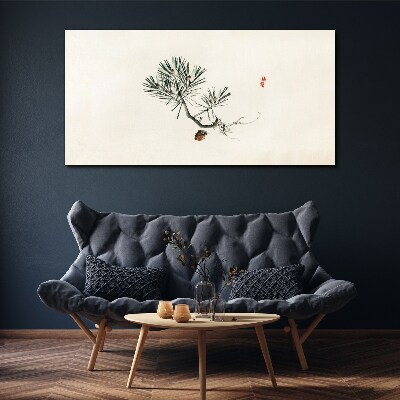 Foto op canvas Dennenboom op een witte achtergrond